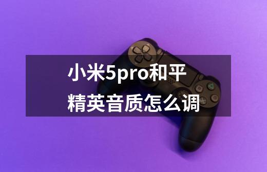 小米5pro和平精英音质怎么调-第1张-游戏资讯-龙启科技