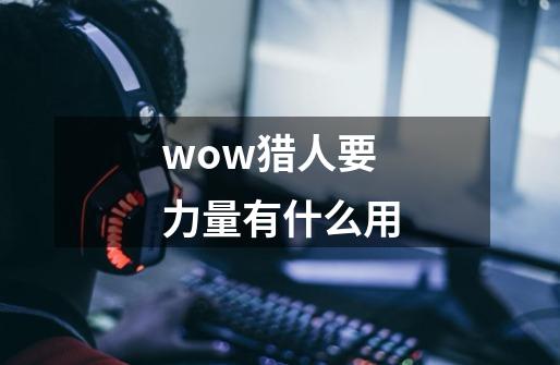 wow猎人要力量有什么用-第1张-游戏资讯-龙启科技