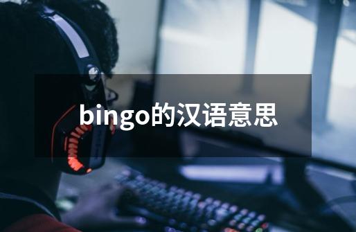 bingo的汉语意思-第1张-游戏资讯-龙启科技