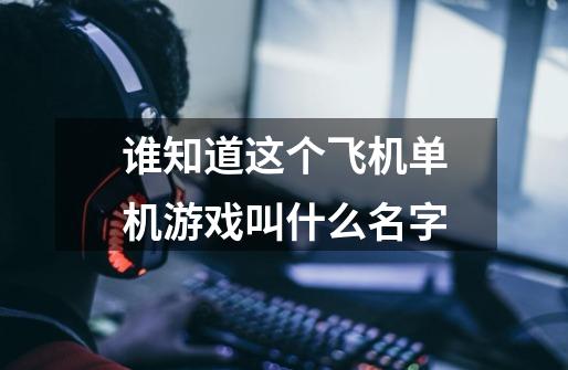 谁知道这个飞机单机游戏叫什么名字-第1张-游戏资讯-龙启科技