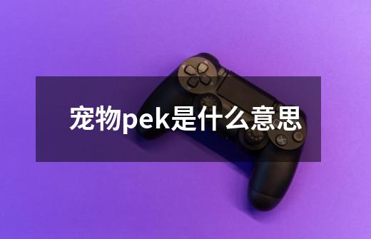 宠物pek是什么意思-第1张-游戏资讯-龙启科技