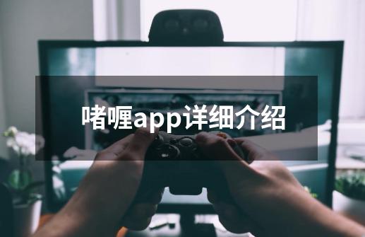 啫喱app详细介绍-第1张-游戏资讯-龙启科技