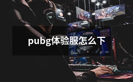 pubg体验服怎么下-第1张-游戏资讯-龙启科技