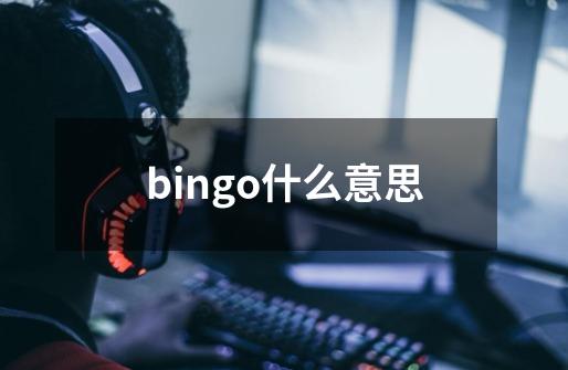 bingo什么意思-第1张-游戏资讯-龙启科技