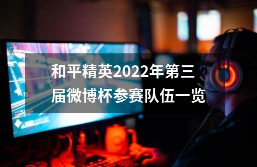 和平精英2022年第三届微博杯参赛队伍一览-第1张-游戏资讯-龙启科技