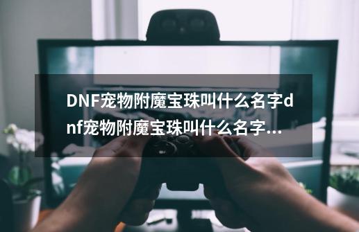 DNF宠物附魔宝珠叫什么名字dnf宠物附魔宝珠叫什么名字好听-第1张-游戏资讯-龙启科技