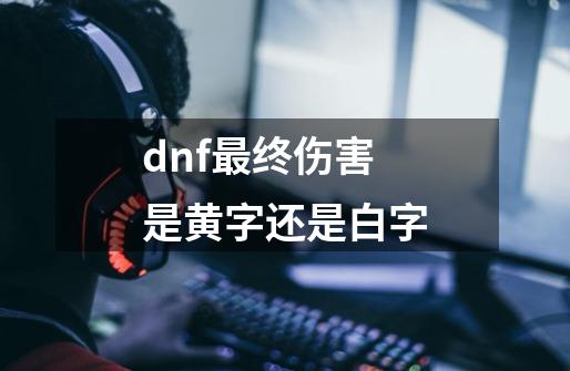 dnf最终伤害是黄字还是白字-第1张-游戏资讯-龙启科技