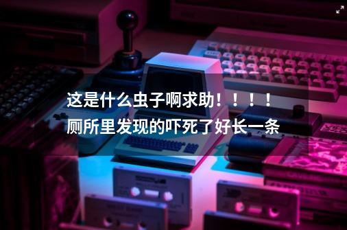 这是什么虫子啊求助！！！！厕所里发现的吓死了好长一条-第1张-游戏资讯-龙启科技