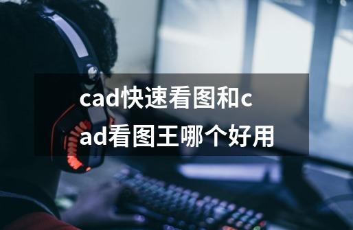 cad快速看图和cad看图王哪个好用-第1张-游戏资讯-龙启科技