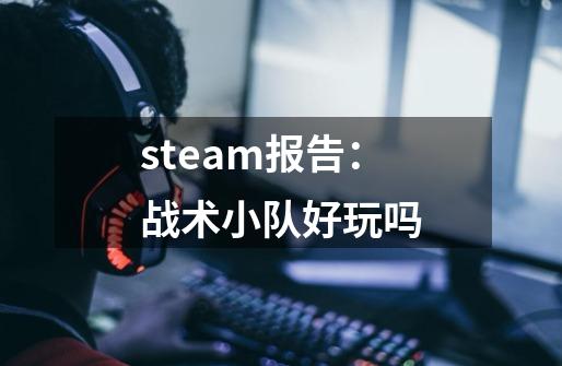 steam报告：战术小队好玩吗-第1张-游戏资讯-龙启科技