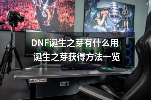 DNF诞生之芽有什么用 诞生之芽获得方法一览-第1张-游戏资讯-龙启科技