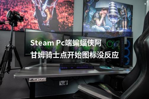 Steam Pc端蝙蝠侠阿甘姆骑士点开始图标没反应-第1张-游戏资讯-龙启科技