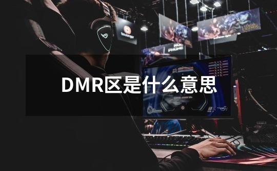 DMR区是什么意思-第1张-游戏资讯-龙启科技