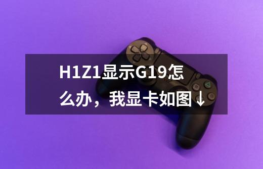 H1Z1显示G19怎么办，我显卡如图↓-第1张-游戏资讯-龙启科技