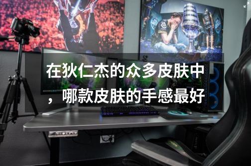 在狄仁杰的众多皮肤中，哪款皮肤的手感最好-第1张-游戏资讯-龙启科技