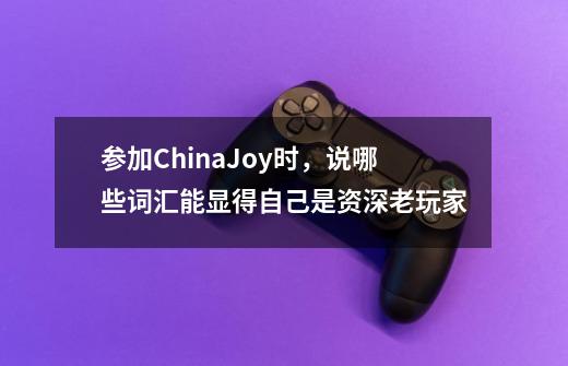 参加ChinaJoy时，说哪些词汇能显得自己是资深老玩家-第1张-游戏资讯-龙启科技