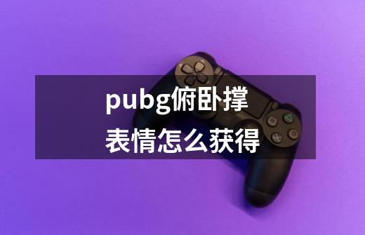 pubg俯卧撑表情怎么获得-第1张-游戏资讯-龙启科技