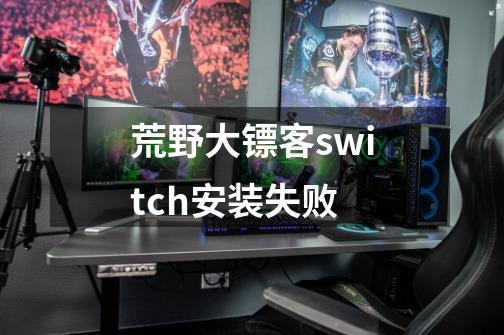 荒野大镖客switch安装失败-第1张-游戏资讯-龙启科技