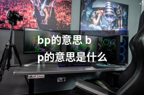 bp的意思 bp的意思是什么-第1张-游戏资讯-龙启科技