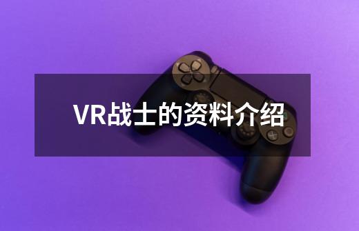 VR战士的资料介绍-第1张-游戏资讯-龙启科技