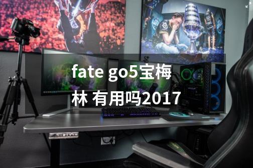 fate go5宝梅林 有用吗2017-第1张-游戏资讯-龙启科技