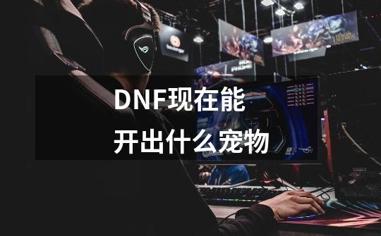 DNF现在能开出什么宠物-第1张-游戏资讯-龙启科技