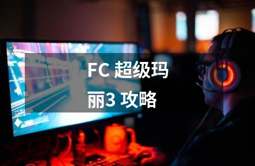 FC 超级玛丽3 攻略-第1张-游戏资讯-龙启科技