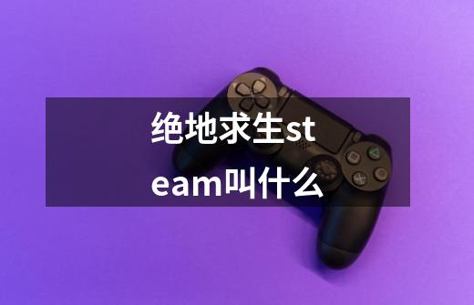 绝地求生steam叫什么-第1张-游戏资讯-龙启科技