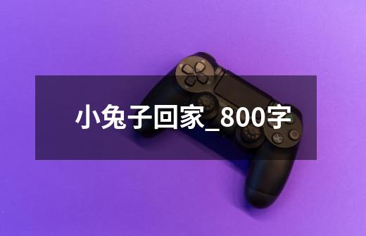 小兔子回家_800字-第1张-游戏资讯-龙启科技