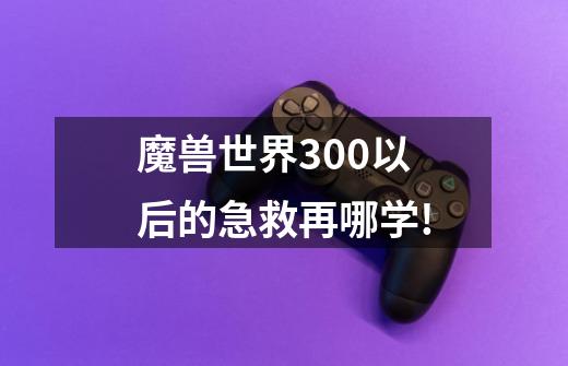 魔兽世界300以后的急救再哪学!-第1张-游戏资讯-龙启科技