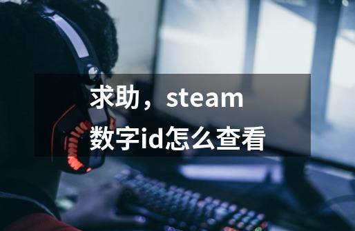 求助，steam数字id怎么查看-第1张-游戏资讯-龙启科技