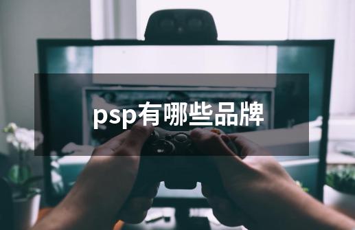 psp有哪些品牌-第1张-游戏资讯-龙启科技