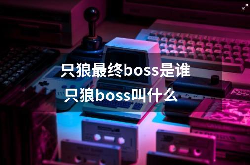 只狼最终boss是谁 只狼boss叫什么-第1张-游戏资讯-龙启科技