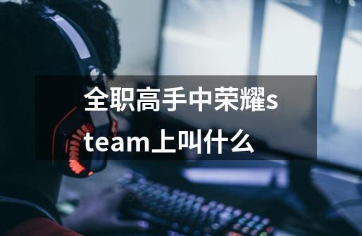 全职高手中荣耀steam上叫什么-第1张-游戏资讯-龙启科技