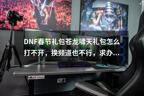 DNF春节礼包苍龙啸天礼包怎么打不开，换频道也不行，求办法。-第1张-游戏资讯-龙启科技