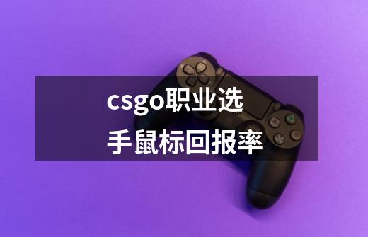 csgo职业选手鼠标回报率-第1张-游戏资讯-龙启科技