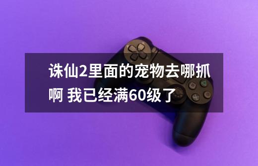 诛仙2里面的宠物去哪抓啊 我已经满60级了-第1张-游戏资讯-龙启科技