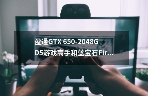 盈通GTX 650-2048GD5游戏高手和蓝宝石FirePro S10000有什么区别-第1张-游戏资讯-龙启科技