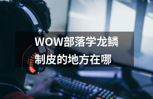 WOW部落学龙鳞制皮的地方在哪-第1张-游戏资讯-龙启科技