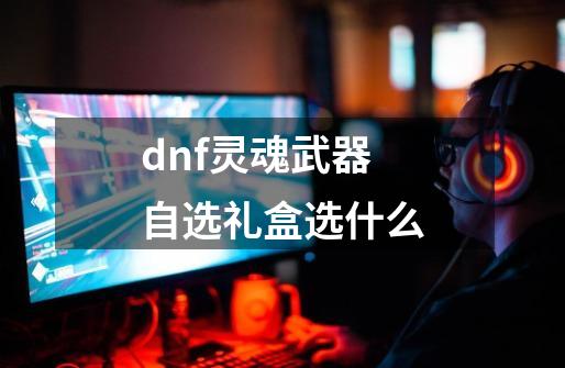 dnf灵魂武器自选礼盒选什么-第1张-游戏资讯-龙启科技