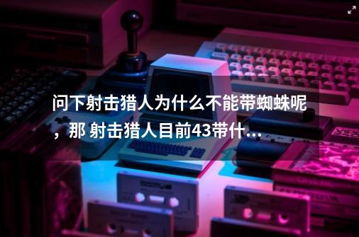 问下射击猎人为什么不能带蜘蛛呢，那 射击猎人目前4.3带什么宠物比较好呢-第1张-游戏资讯-龙启科技