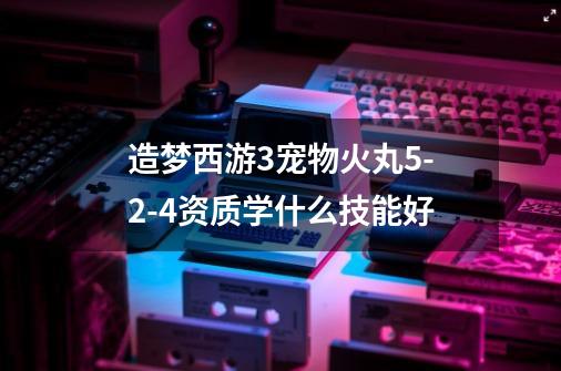 造梦西游3宠物火丸5-2-4资质学什么技能好-第1张-游戏资讯-龙启科技