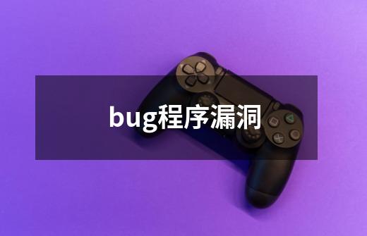 bug程序漏洞-第1张-游戏资讯-龙启科技