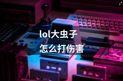 lol大虫子怎么打伤害-第1张-游戏资讯-龙启科技