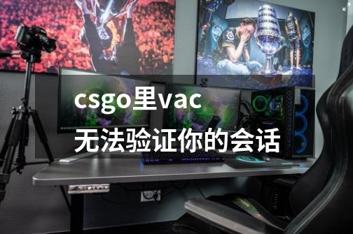 csgo里vac无法验证你的会话-第1张-游戏资讯-龙启科技