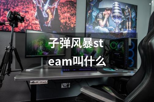 子弹风暴steam叫什么-第1张-游戏资讯-龙启科技