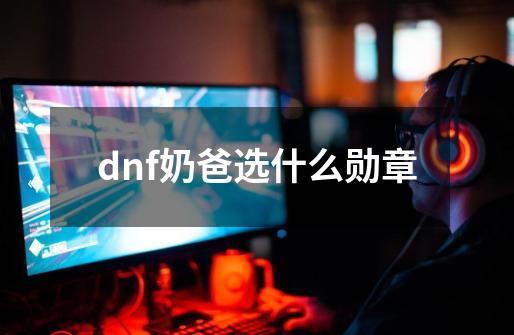 dnf奶爸选什么勋章-第1张-游戏资讯-龙启科技