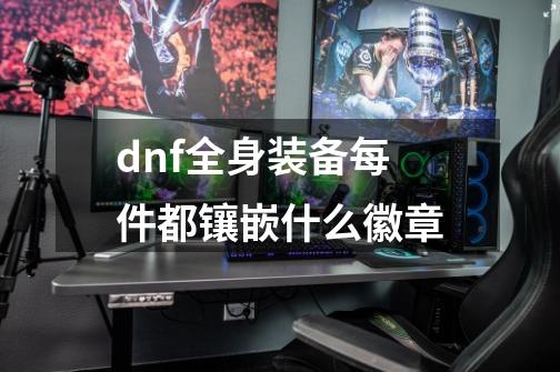 dnf全身装备每件都镶嵌什么徽章-第1张-游戏资讯-龙启科技