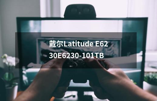 戴尔Latitude E6230E6230-101TB-第1张-游戏资讯-龙启科技