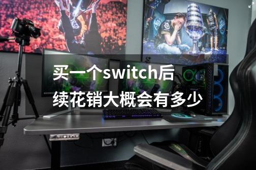 买一个switch后续花销大概会有多少-第1张-游戏资讯-龙启科技